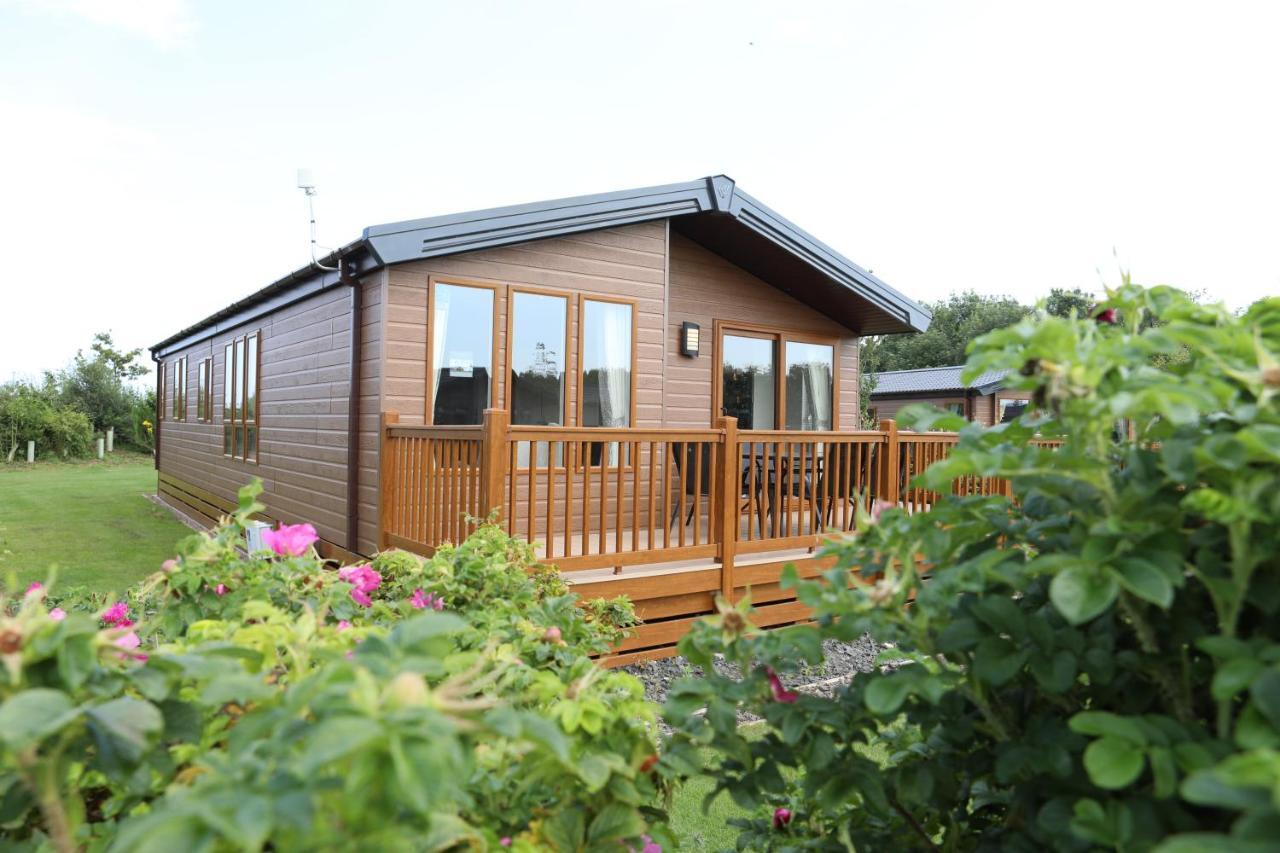 Cosy Dreams Lodge Beal Eksteriør billede